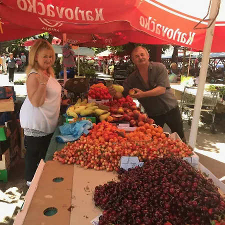 Monte Paradiso Panorama Apartment